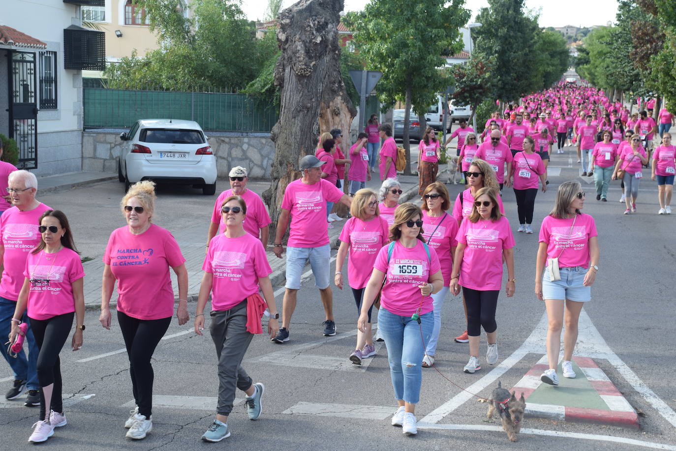Fotos: La recuperada marcha rosa contra el cáncer