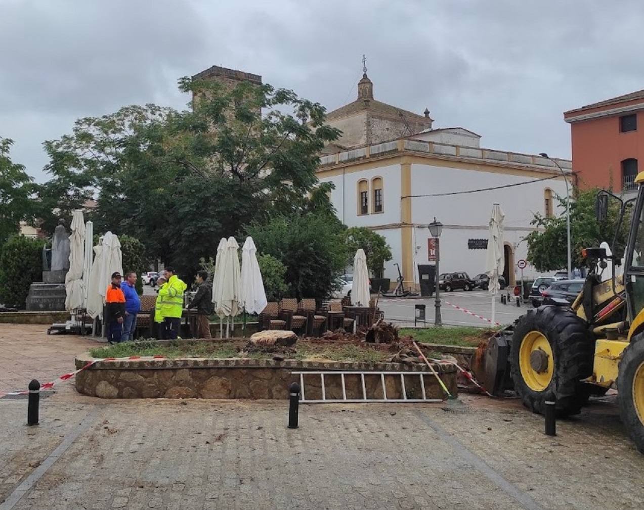 Una de las zonas afectadas por la tala de palmeras es el paseo Ruiz de Mendza 