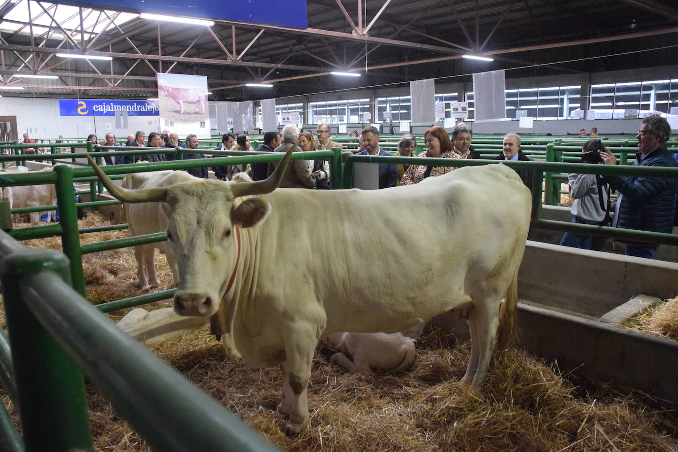 Visita de autoridades a las naves de los animales