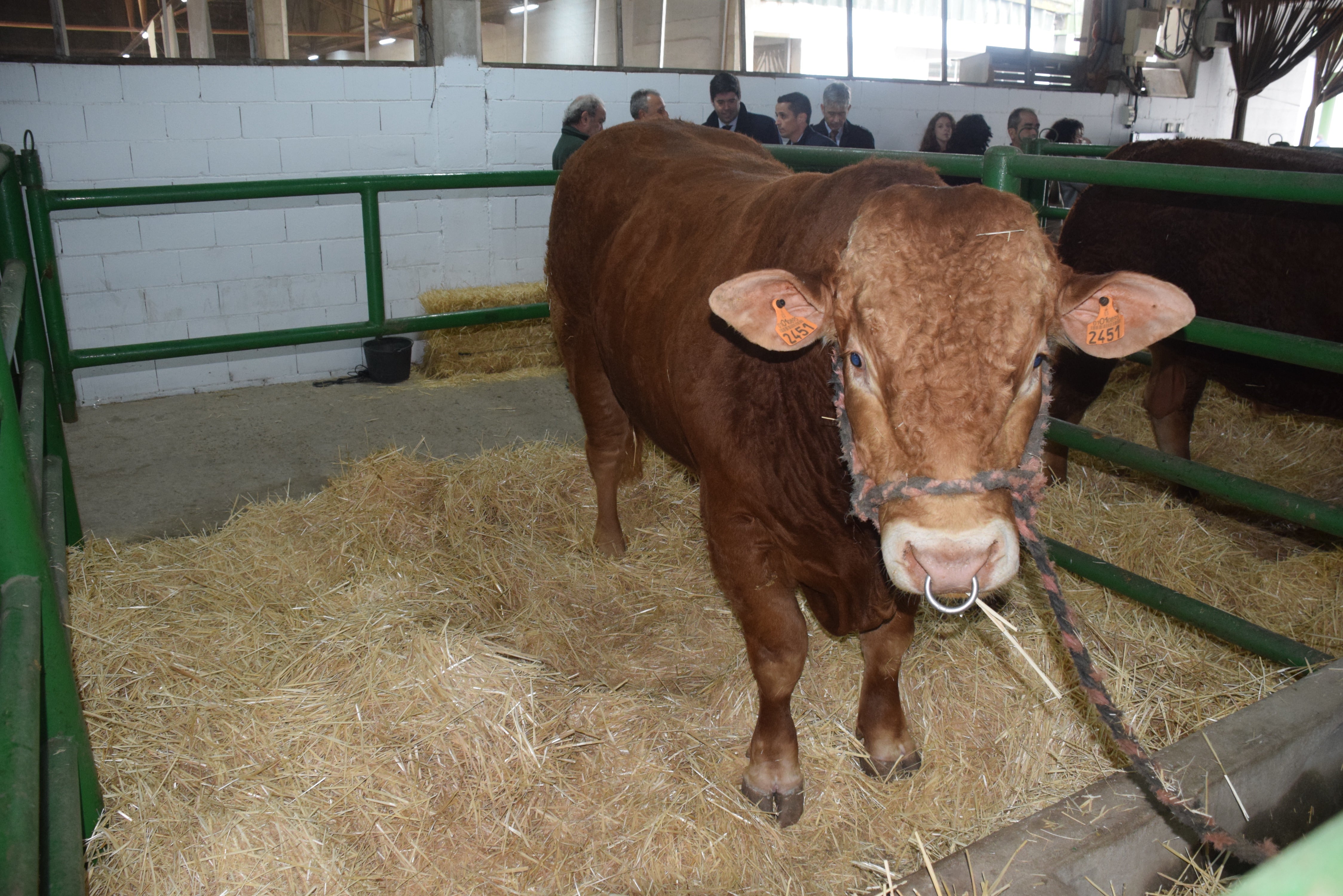 Fotos: ¿Estuviste en la Feria Agroganadera?