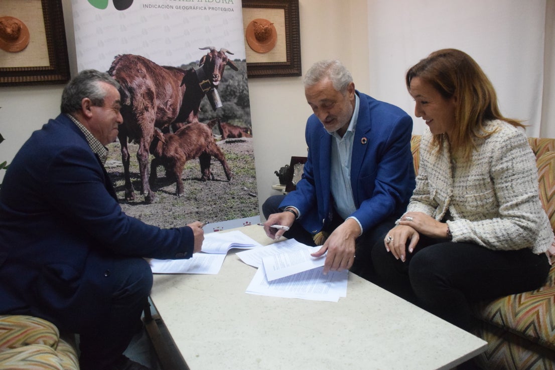 Fotos: ¿Estuviste en la Feria Agroganadera?