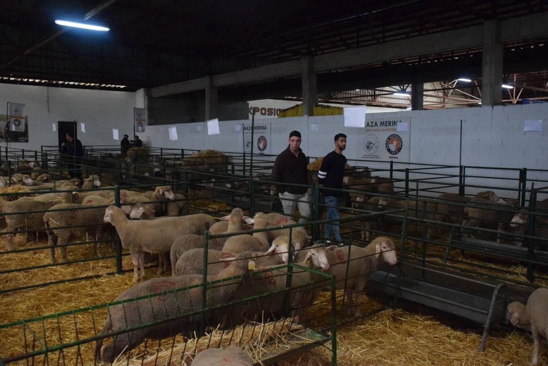 Fotos: ¿Estuviste en la Feria Agroganadera?