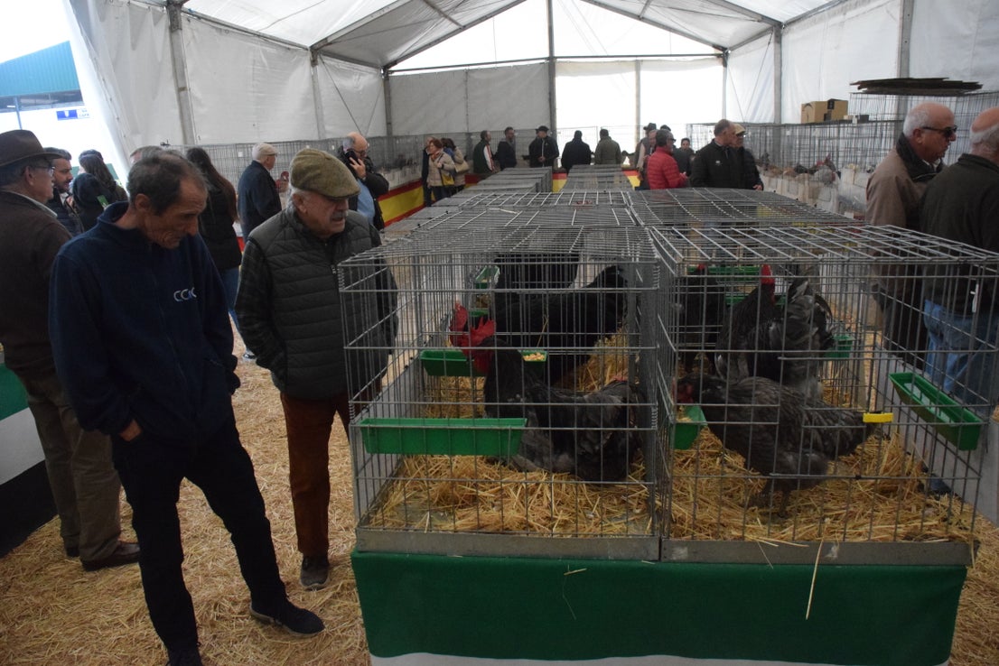 Fotos: ¿Estuviste en la Feria Agroganadera?