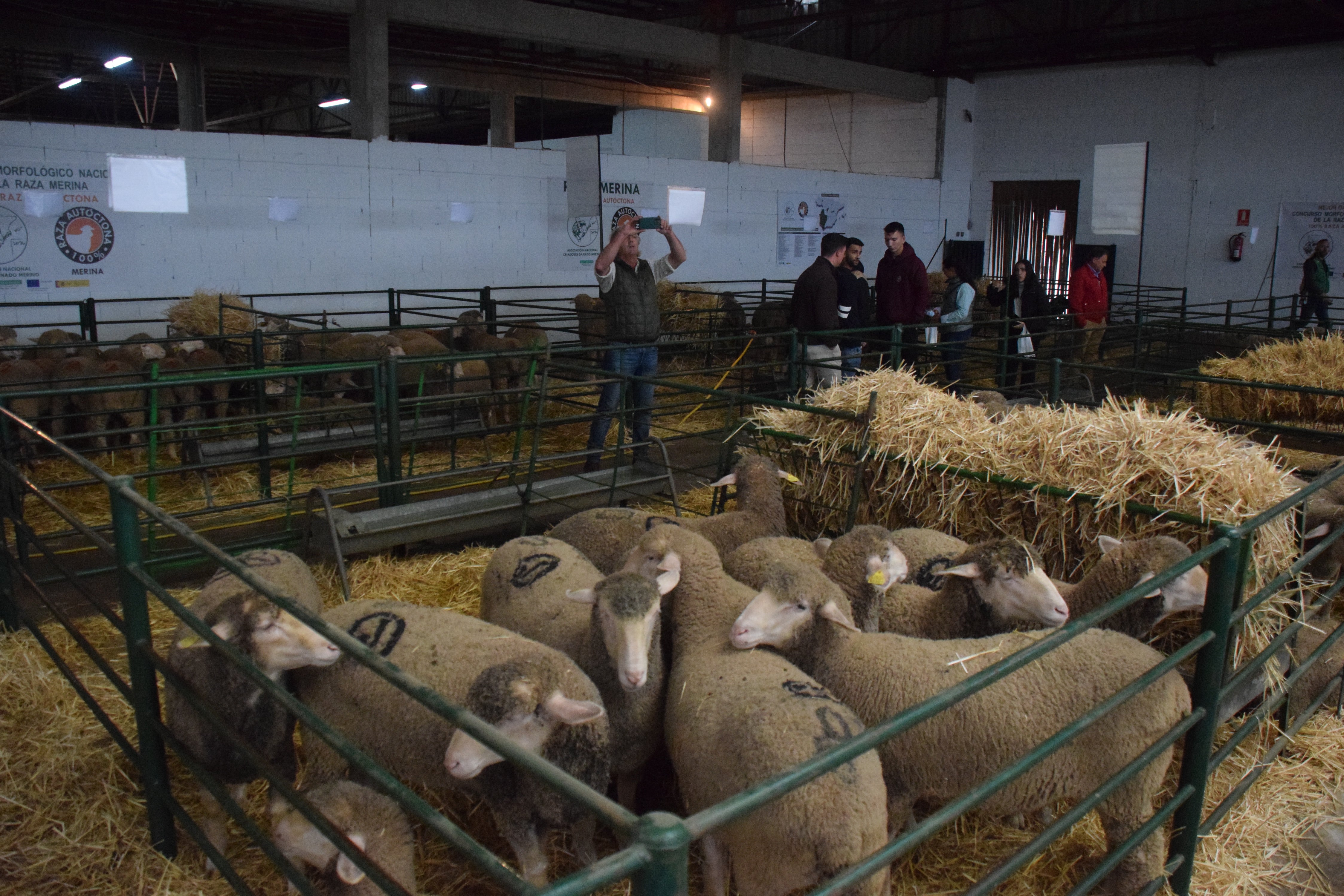 Fotos: ¿Estuviste en la Feria Agroganadera?