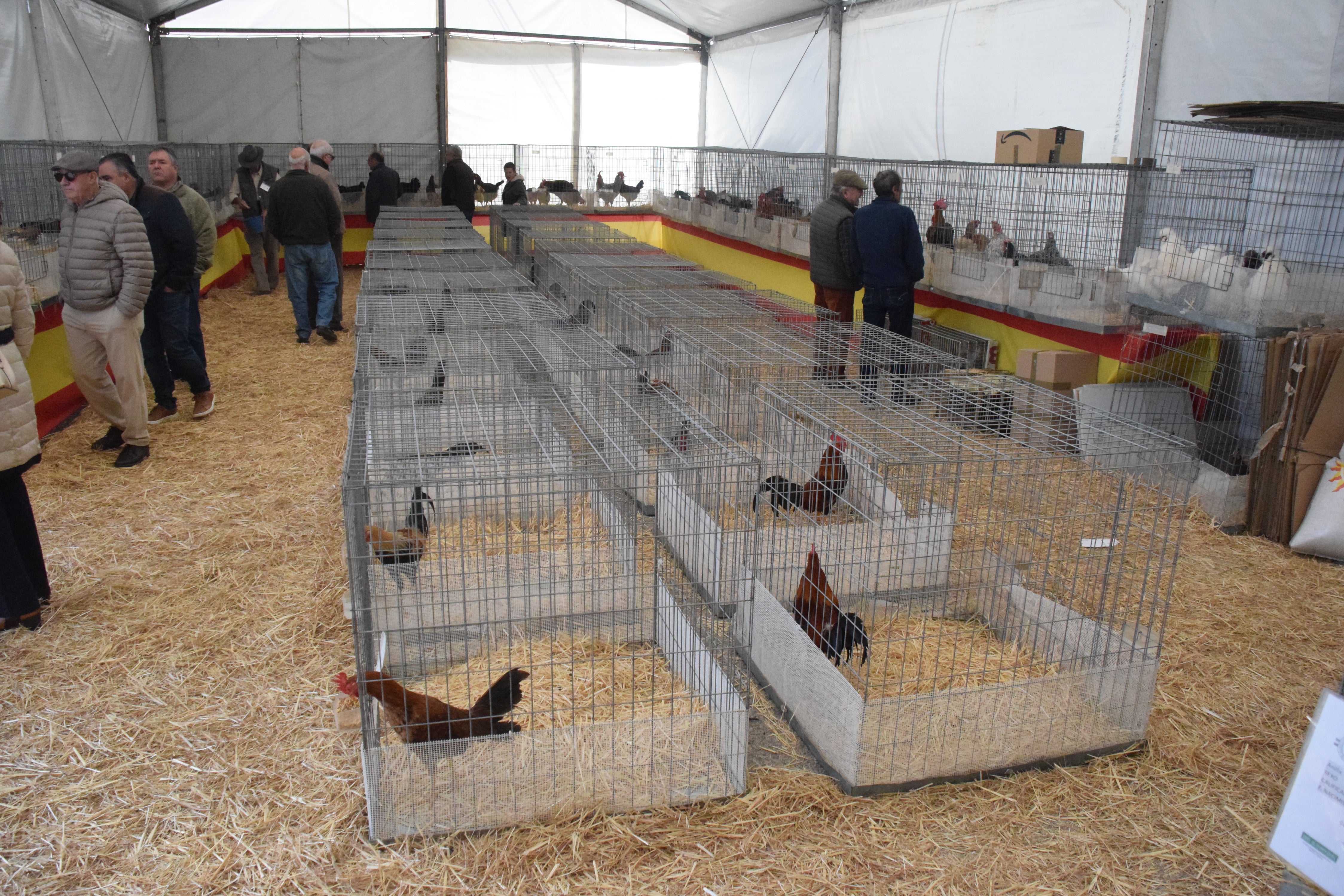 Fotos: ¿Estuviste en la Feria Agroganadera?