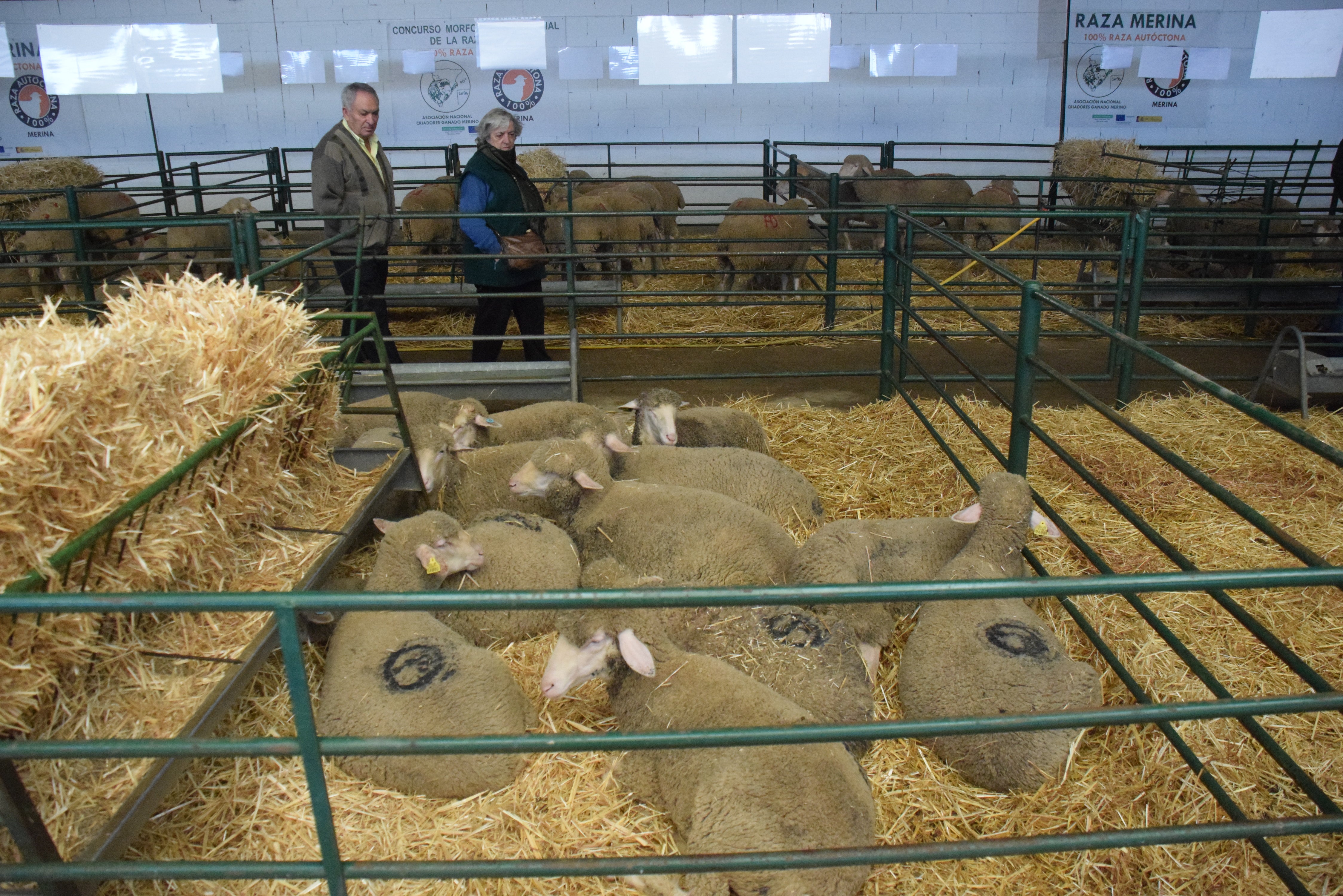 Fotos: ¿Estuviste en la Feria Agroganadera?