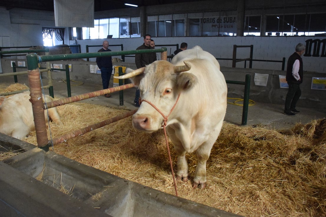 Fotos: ¿Estuviste en la Feria Agroganadera?