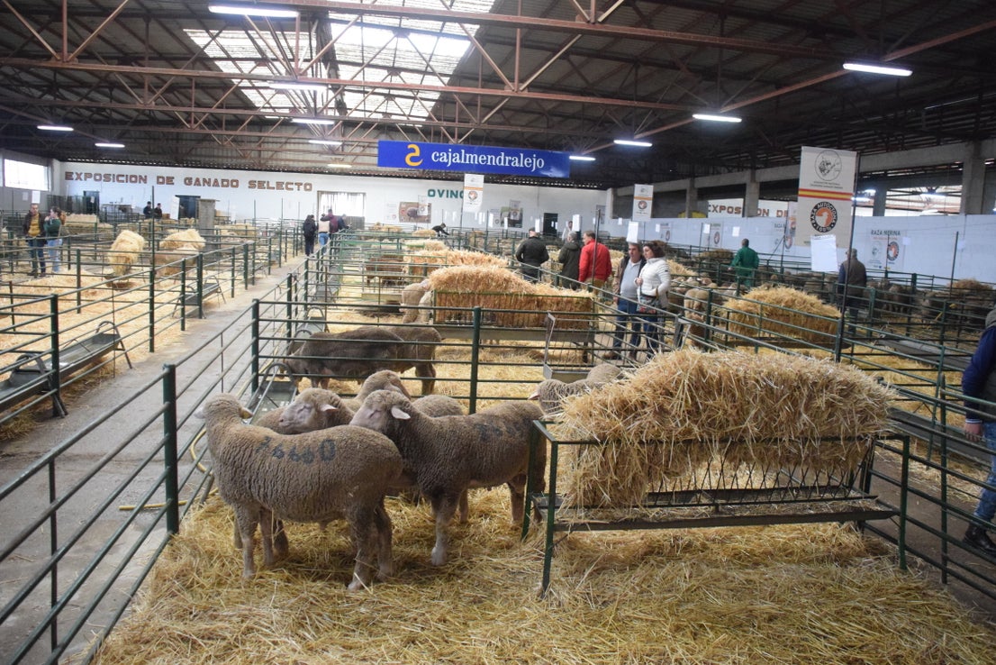 Fotos: ¿Estuviste en la Feria Agroganadera?