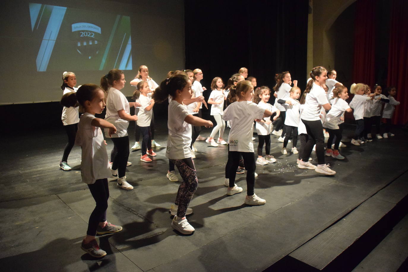 Fotos: Gala del Deporte, con los premiados