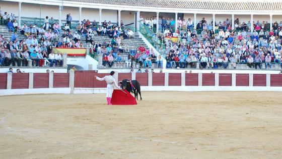 Sale a licitación la corrida de toros para la Feria del Queso