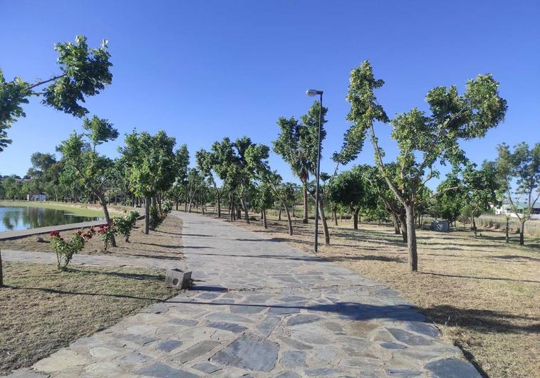 Llamamiento, de nuevo, a la limpieza de terrenos