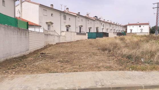 El Consistorio lleva a cabo una campaña de limpieza y desbroce por la ciudad