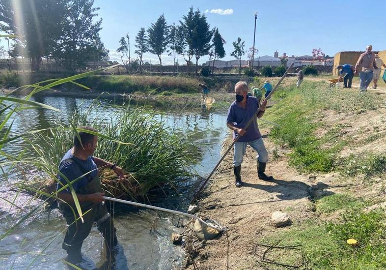 Voluntarios retiran los peces muertos que han aparecido en la charca de San Lázaro