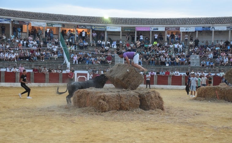 Uno de los momentos de la capea de ayer