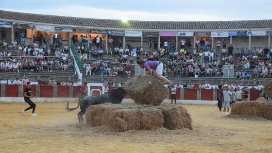 La plaza registra una buena entrada en la capea con toros y novillos