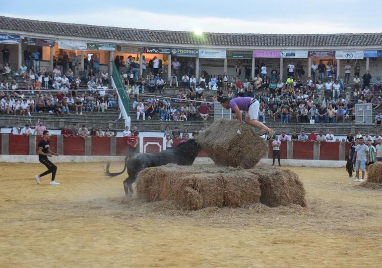 La plaza registra una buena entrada en la capea con toros y novillos