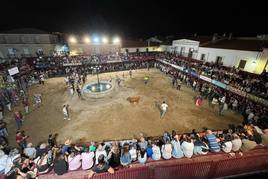 Capea celebrada esta noche, con la llamada 'La vaquilla del aguardiante'