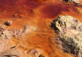 Lampedusa y el uno por ciento