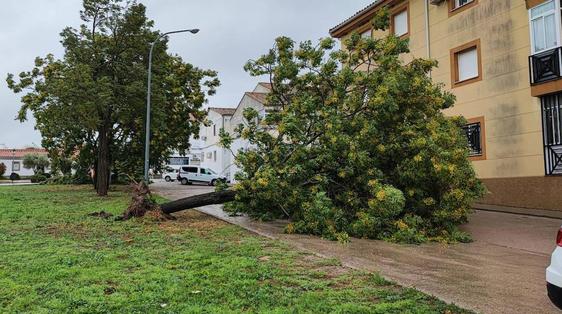 La lluvia y el viento provocan algunos incidentes
