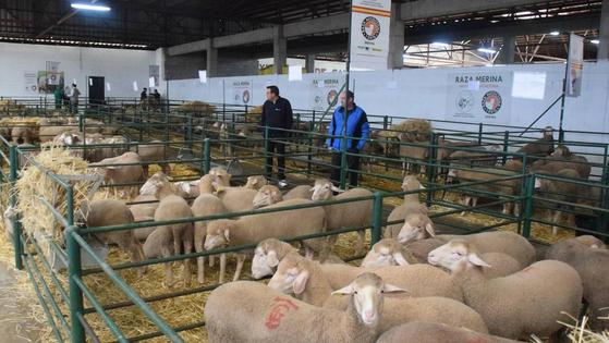 La Agroganadera mantiene la ayuda de la Junta de 85.000 euros