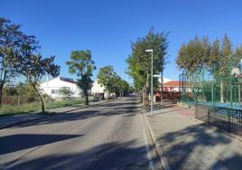 Avenida Reina María Cristina, una las vías beneficiarias.