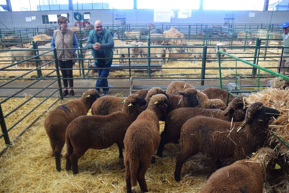 ¿Estuviste en la XXXIX edición de la Feria Agroganadera?