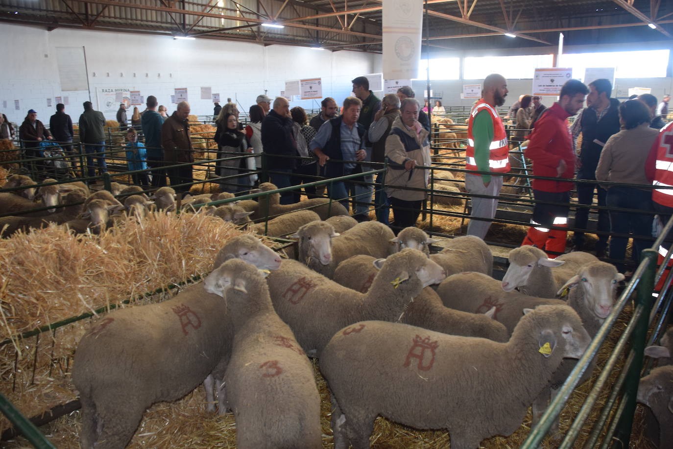 ¿Estuviste en la XXXIX edición de la Feria Agroganadera?