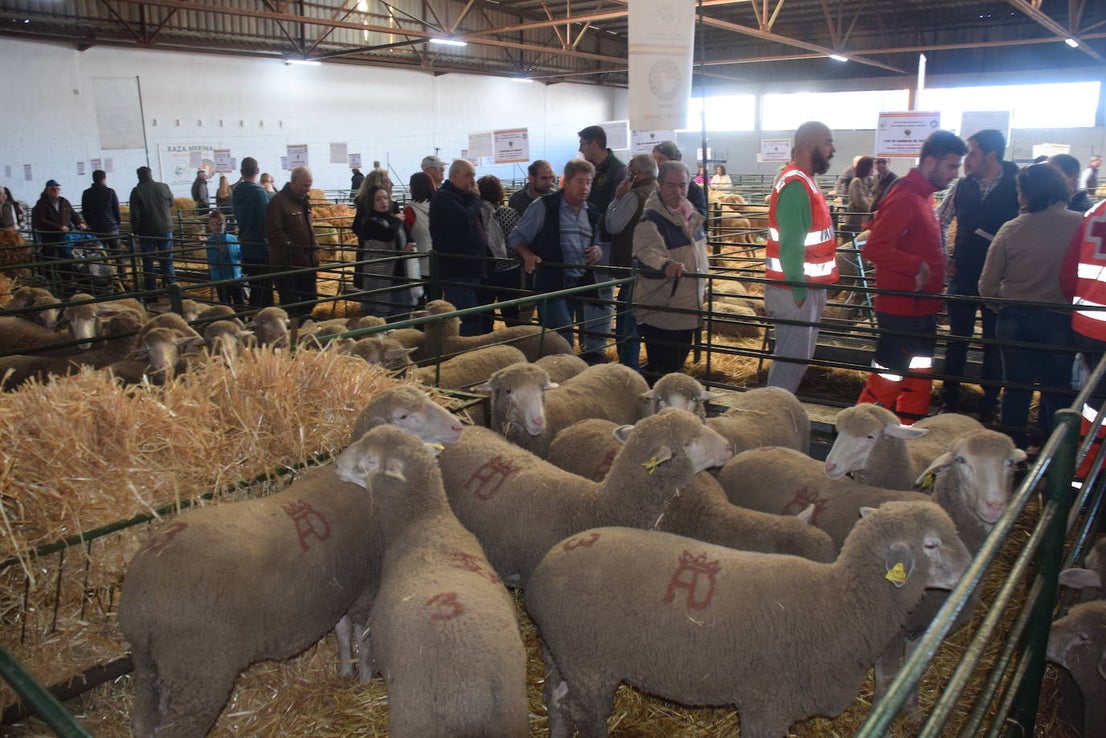 ¿Estuviste en la XXXIX edición de la Feria Agroganadera?
