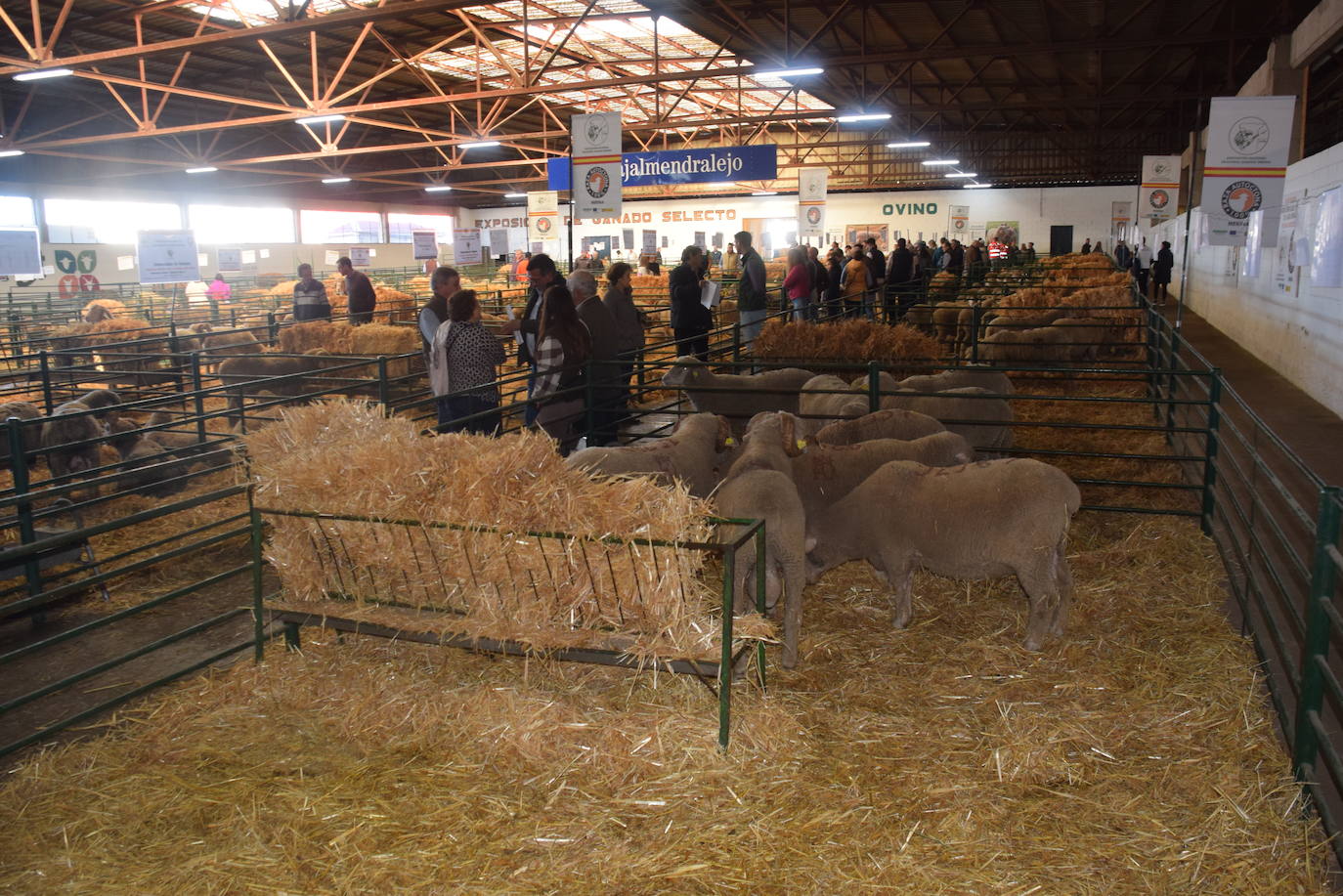 ¿Estuviste en la XXXIX edición de la Feria Agroganadera?