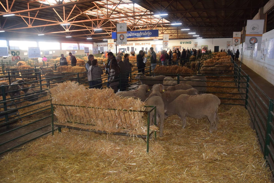 ¿Estuviste en la XXXIX edición de la Feria Agroganadera?