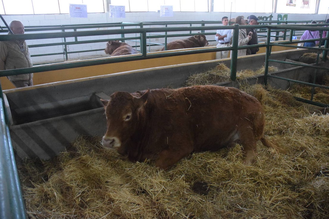 ¿Estuviste en la XXXIX edición de la Feria Agroganadera?