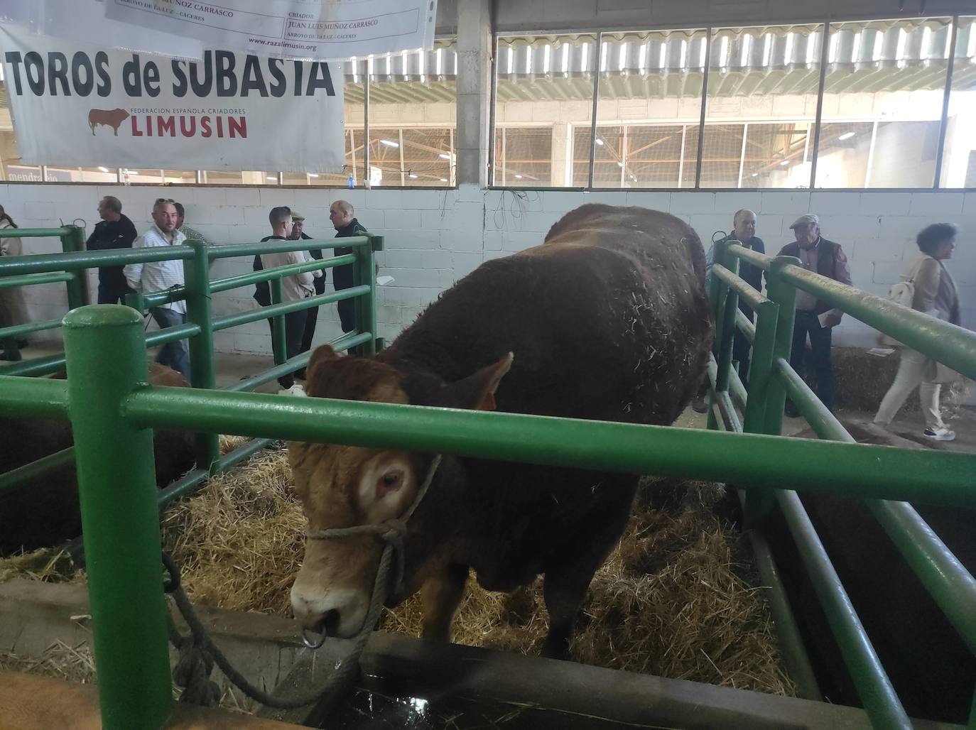 ¿Estuviste en la XXXIX edición de la Feria Agroganadera?