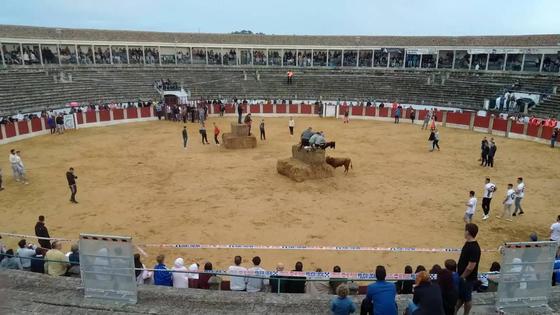 La rehabilitación de la plaza de toros pasa por el '2% Cultural'