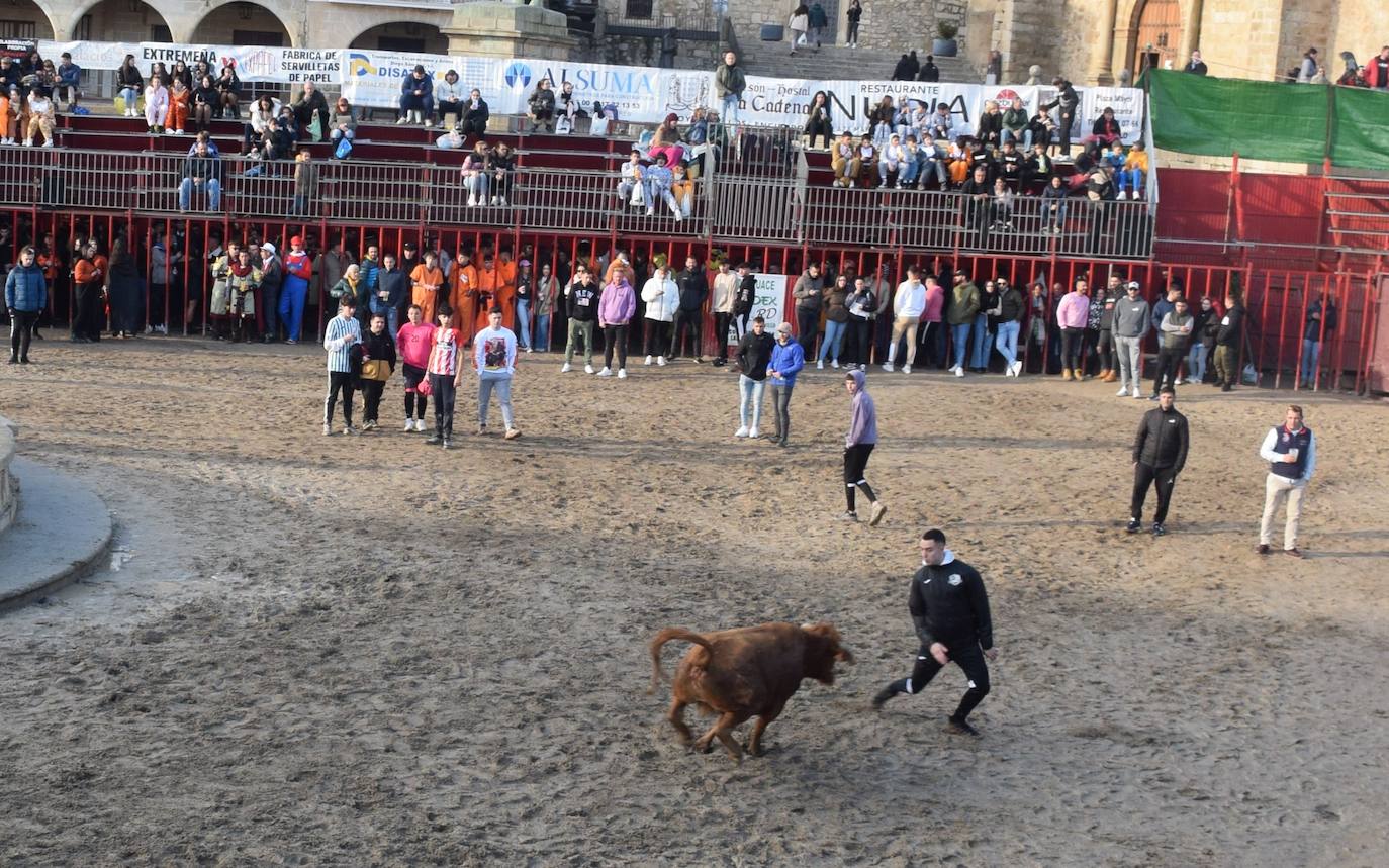 Concurso de comparsas y primer día de festejos taurinos