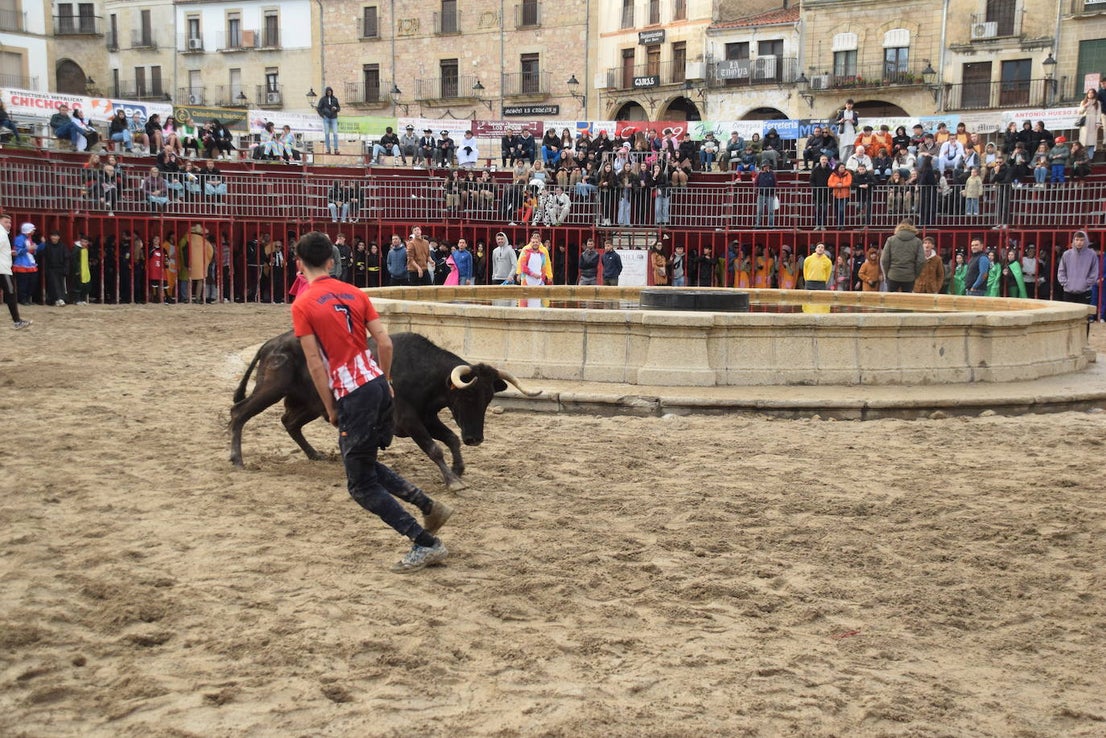 Concurso de comparsas y primer día de festejos taurinos