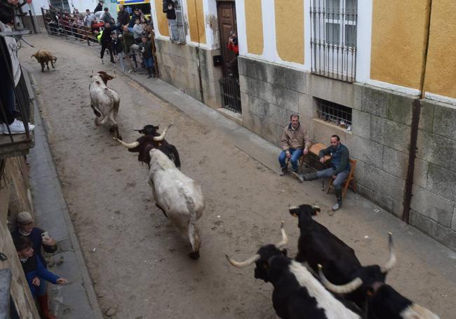 Dos ficionados viendo pasar el ganado sentados en sillas