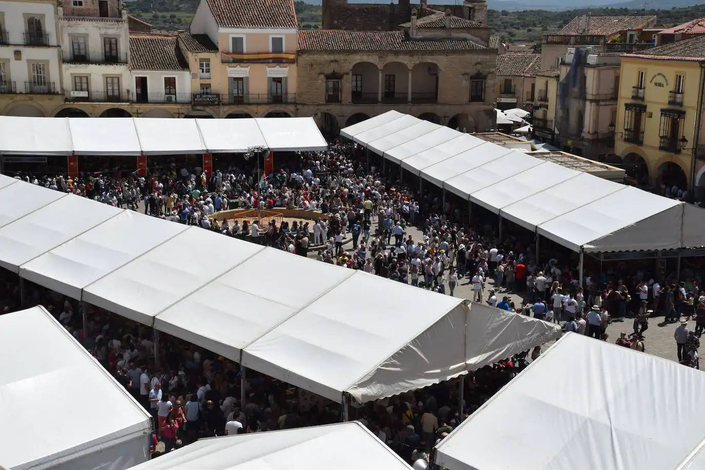 Asemtru apuesta por una Feria Nacional del Queso más técnica