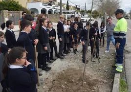 Menores del Sagrado Corazón de Jesús llevan a cabo la plantación de árboles