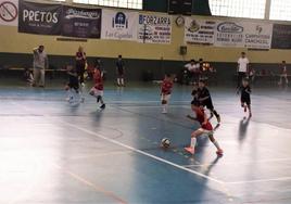 Un torneo reunirá este sábado, de nuevo, a cien prebenjamines