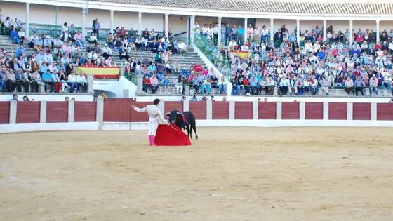 El Consistorio saca a licitación la corrida de toros de la Feria del Queso