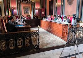 Sesión plenaria celebrada este miércoles