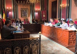 Sesión plenaria anterior.