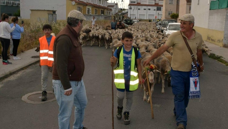 José Manuel Sánchez, con sus 1.550 ovejas, pasa por la ciudad camino de León