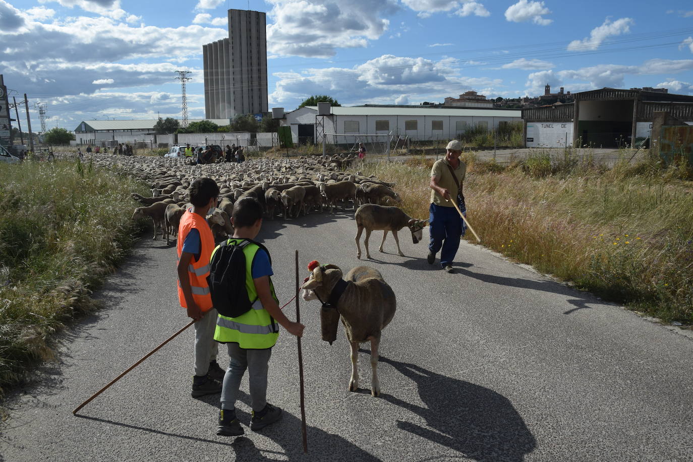 La trashumancia hace su parada en la ciudad trujillana