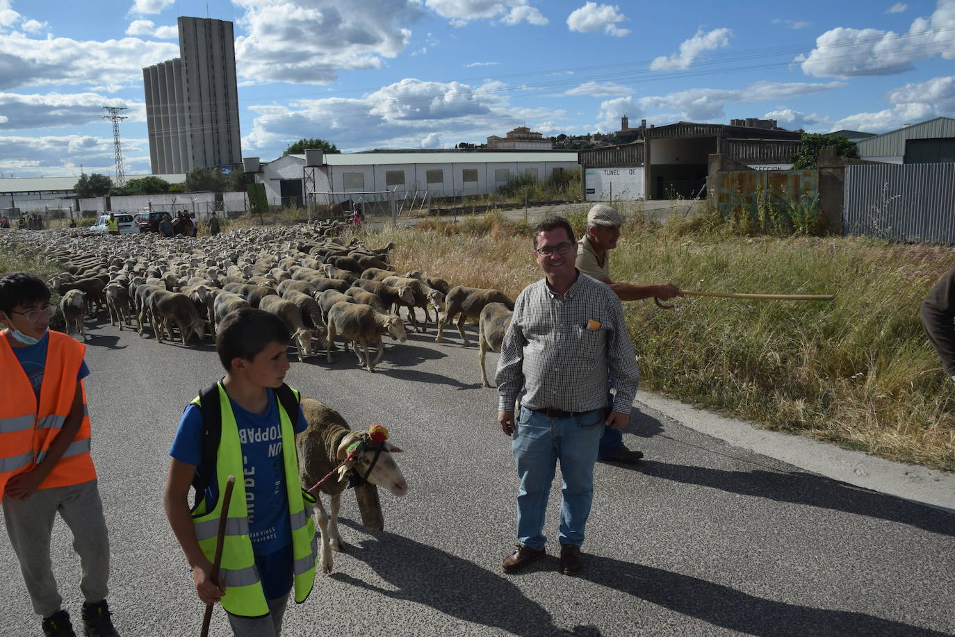 La trashumancia hace su parada en la ciudad trujillana