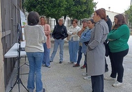 Participantes