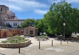 Zona doonde ha sido encontrado el hombre