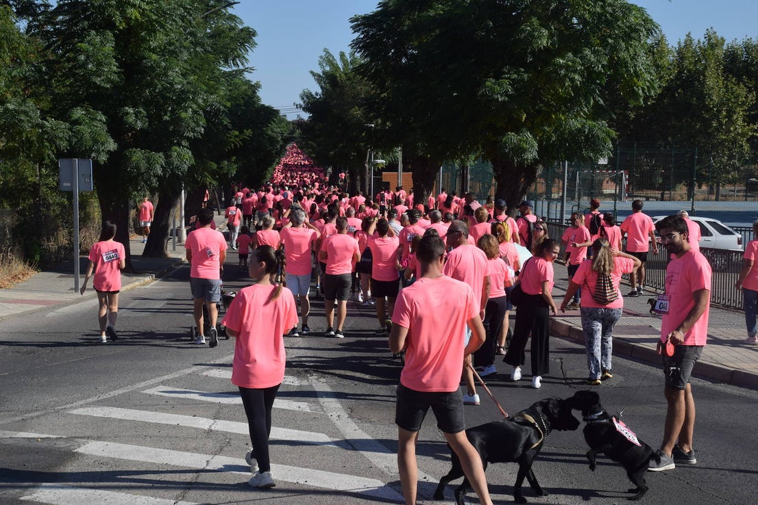 ¿Estuviste en la XIII Marcha Contra el Cáncer?