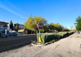 Zona de la avenida Ramón y Cajal.