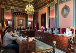 Sesión plenaria celebrada ayer.